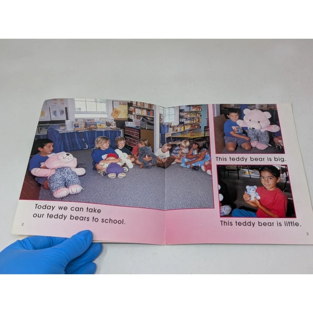 Vintage Teddy‎ Bears at School by Marvin Buckley Kids Book Photos 2000 Y2K Troll